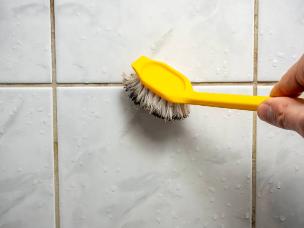 Best Post-Flood Mold Remediation in East Foothills, CA