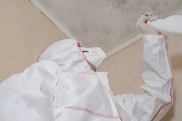 Best Insurance-Related Mold Remediation in East Foothills, CA